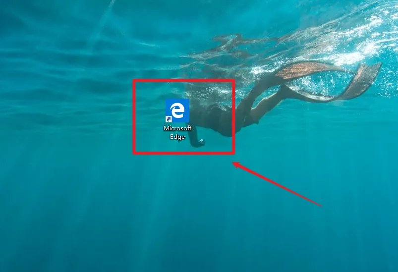 天天快递单号查询？