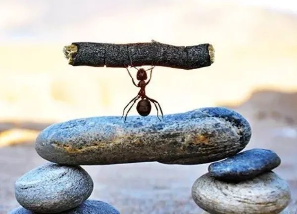 患得患失什么意思?