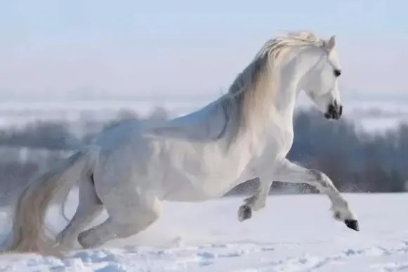 路遥知马力,日久见人心是什么意思啊？