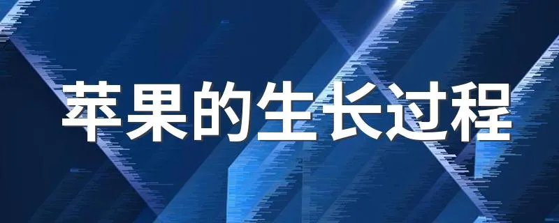 苹果的生长过程 详细解析苹果的生长过程