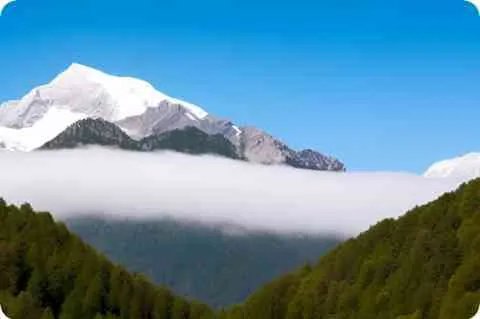 图穷匕见的故事