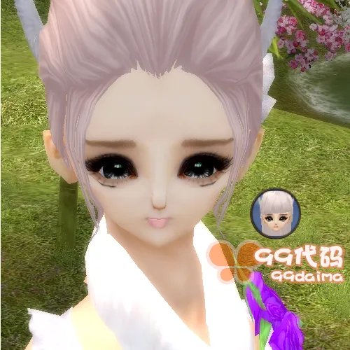 求完美国际MM的代码，谢谢了，最好带图的