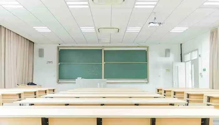 莫衷一是的意思