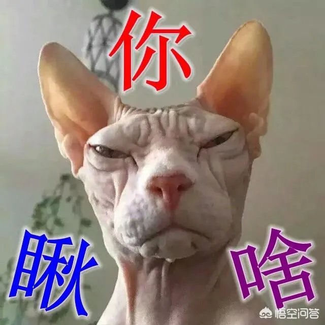 天津市区的天津人从饮食，文化，等等各方面，是否与纯正的北方文化有差异？