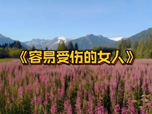 邝美云最好听的十首歌