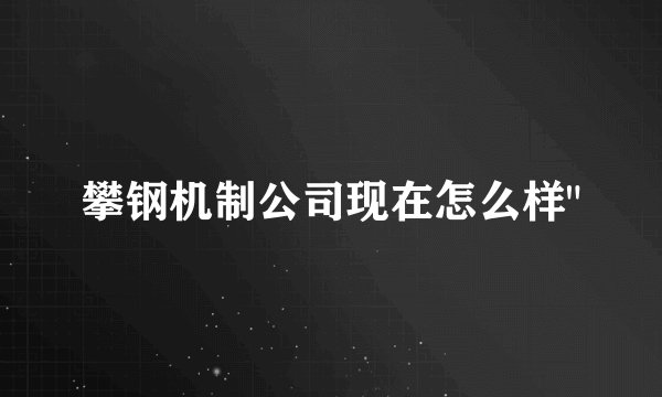 攀钢机制公司现在怎么样