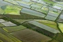 阡陌纵横 阡陌怎么读