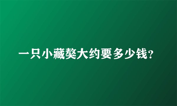 一只小藏獒大约要多少钱？