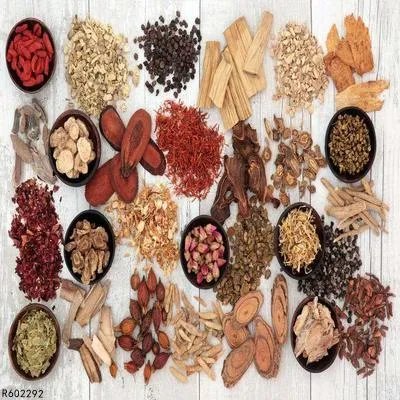 活血化瘀月经不调的药有哪些