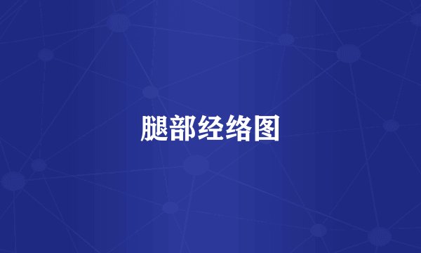 腿部经络图