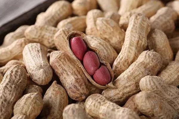 安徽蚌埠十大特产_能打包带走的蚌埠特产