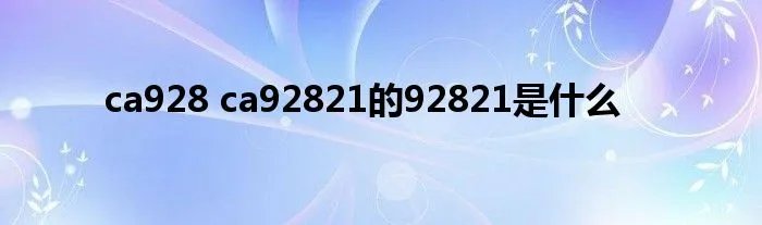 ca928 ca92821的92821是什么