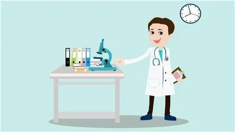 芸豆的功效与作用