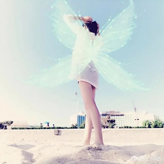 影视剧中的天使，其翅膀的结构在现实中能飞上天空吗？