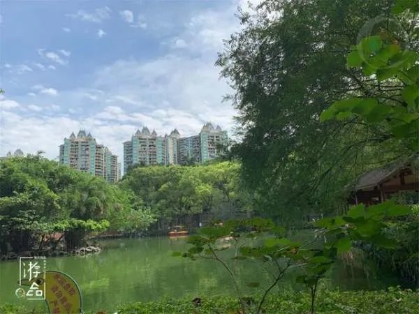 重庆的空气质量好吗？