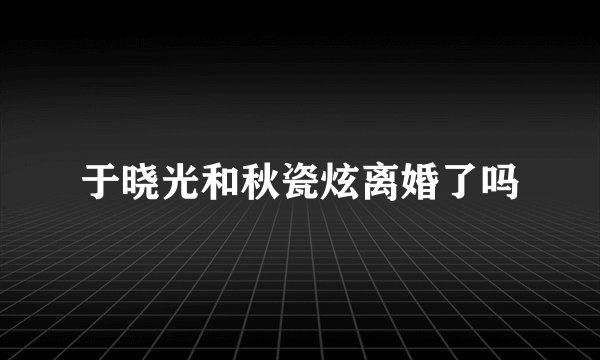 于晓光和秋瓷炫离婚了吗