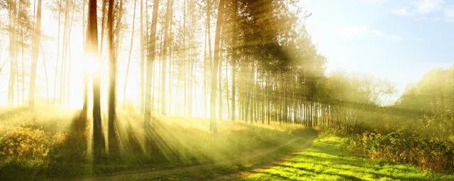 入伏是什么意思啊