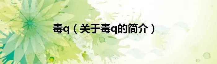 毒q（关于毒q的简介）