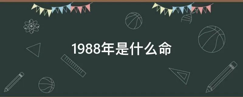 1988年是什么命