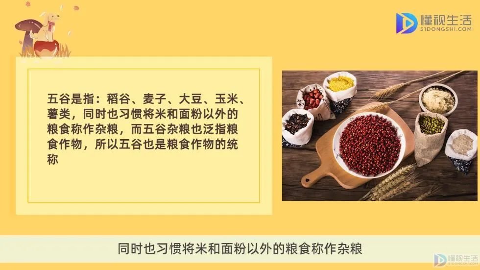 五谷杂粮是哪5种
