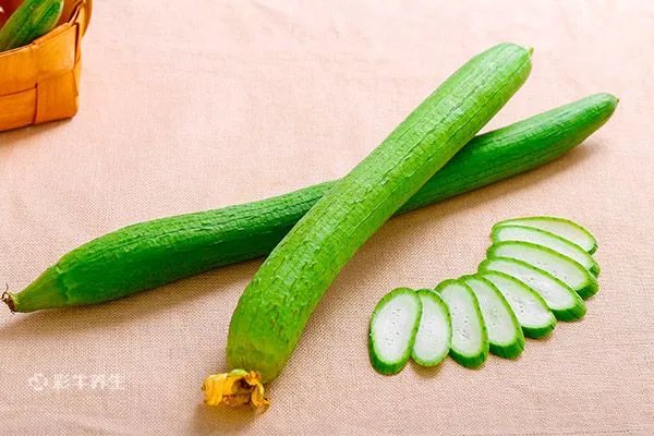 丝瓜的营养价值