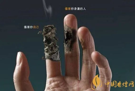 香烟化学成分有什么 香烟成分的组成及危害
