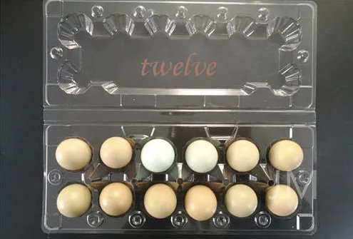 twelve是什么意思