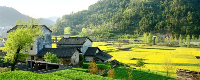 安吉是什么省市