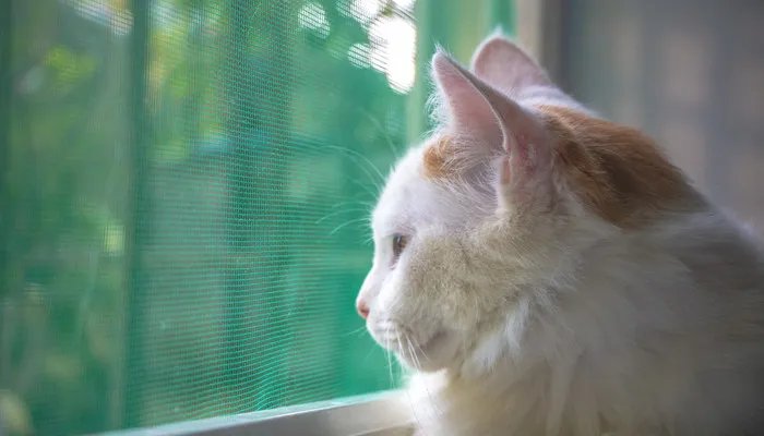 窗户漏风怎么处理比较好