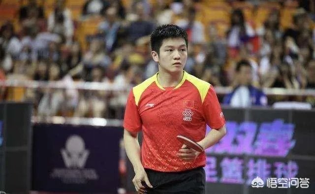 如何评价樊振东？