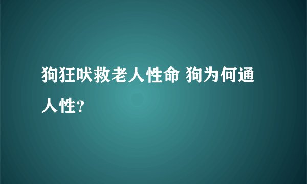 狗狂吠救老人性命 狗为何通人性？