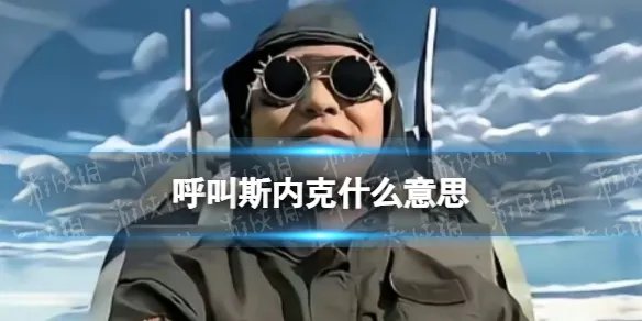 呼叫斯内克什么意思 呼叫斯内克什么梗