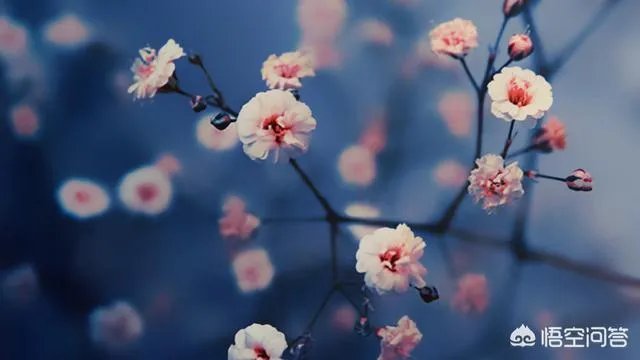 青春大概应该怎样过？