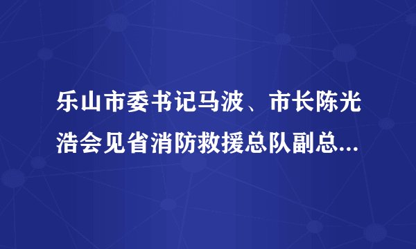 乐山市委书记马波、市长陈光浩会见省消防救援总队副总队长喻平文一行