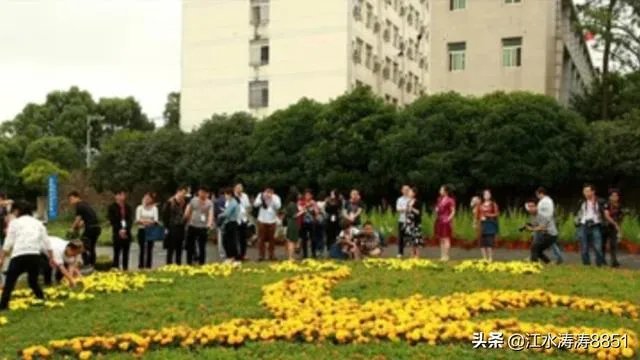 湖北生物科技职业技术学院和湖北交通职业技术学院哪个学校好？