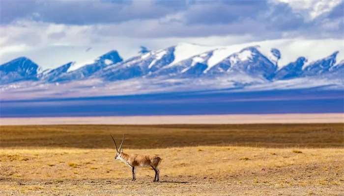 青海的省会在哪里 青海的省会是哪里