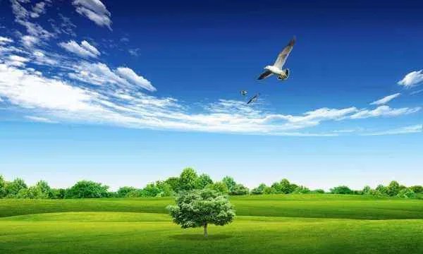 jpg是什么意思？