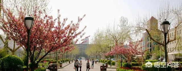 石家庄工商职业学院怎么样？