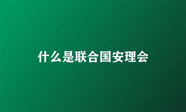 什么是联合国安理会