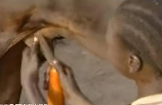 男子对牛屁股吹气 下秒奇迹发生了（图）