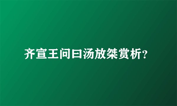 齐宣王问曰汤放桀赏析？
