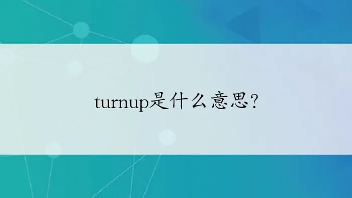 turnup是什么意思？