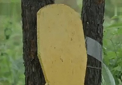 中国的10式狙击步枪使用的瞄准镜为什么那么大，有什么优点吗？