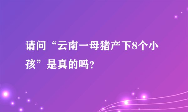 请问“云南一母猪产下8个小孩”是真的吗？