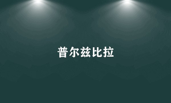 普尔兹比拉