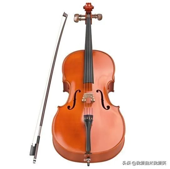 小学老师做微商遭家长投诉被查，这样的老师还有心思教书吗？