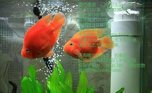 安徽宿州烟草网上订货系统