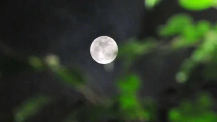 2020首个超级月亮亮相 超级大月亮长什么样呢