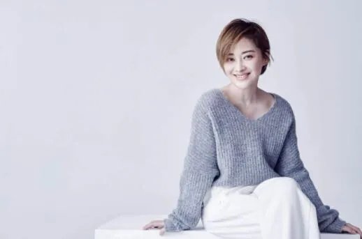 梅婷个人资料简介图片 梅婷的现任老公是谁