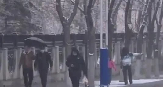 今年为什么是60年以来最冷的一年 为什么都说今年2021是最冷的一年